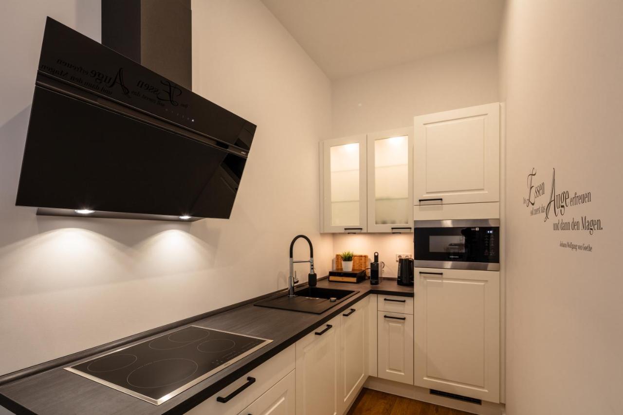 Goethe Palais Suite Charlotte 4P L Lift I Parkplatzi Zentrum I Helios Aue  Kültér fotó